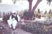 AjmeerGarden_58